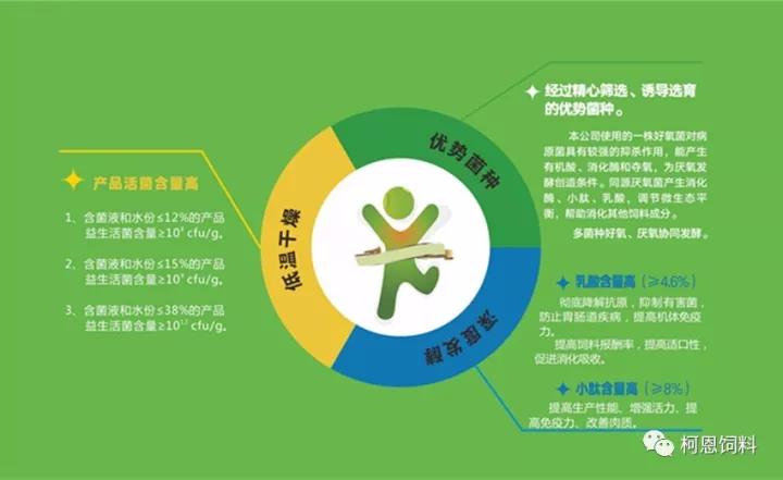 人口生物学_生物学③必修6.1 人口增长对生态环境的影响 ppt课件(2)