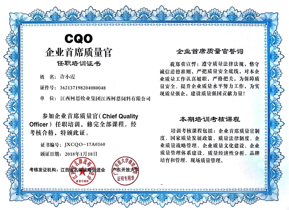 CQO企业首席质量官（许）