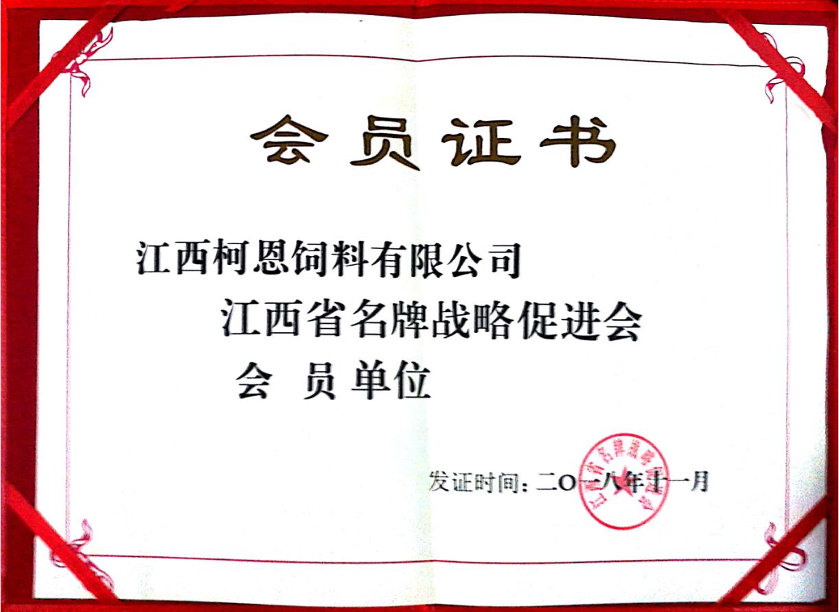 江西省名牌战略促进会会员单位
