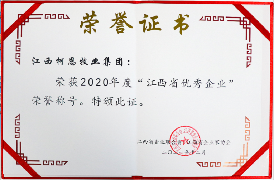 江西省优秀企业证书（2020年度）